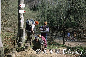 pod drogowskazem na przełęczy żebrak, Bieszczady