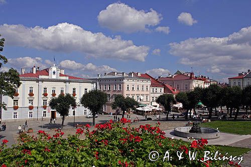 Przemyśl, rynek, ratusz, fontanna z niedźwiedziem, kamienice, Starówka !!!!! NIE do albumów