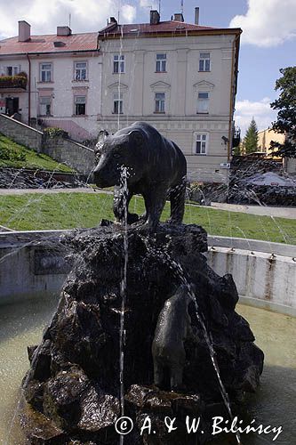 Przemyśl, rynek, fontanna z niedźwiedziem, kamienice, Starówka