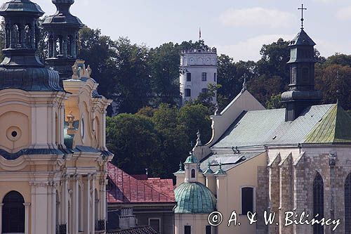 Przemyśl, Starówka, panorama z Wieży Zegarowej, Archikatedra Rzymskokatolicka, zamek