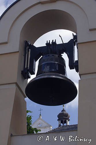 Przemyśl, dzwonnica przy katedrze greko-katolickiej i w tle kościół OO Karmelitów Bosych