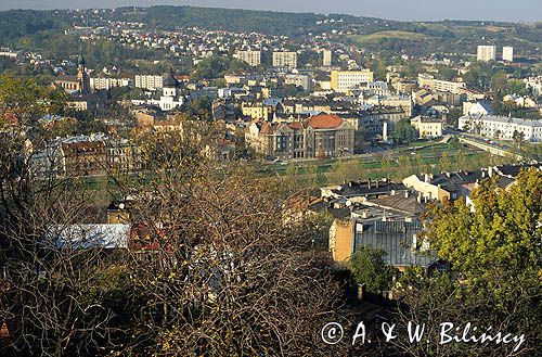 Przemyśl, widok zpod zamku, panorama miasta