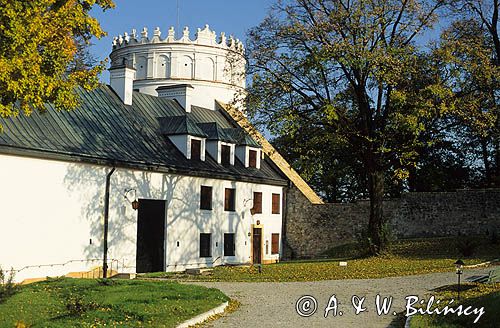 Przemyśl zamek