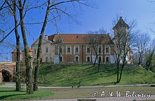 Pułtusk, pałac, Dom Polonii