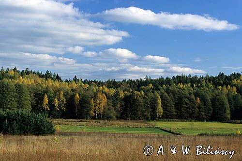 Park Krajobrazowy Puszczy Knyszyńskiej