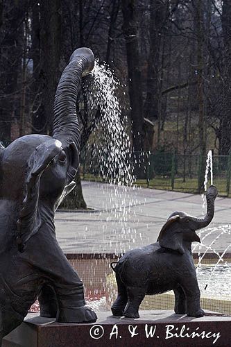 Rabka Zdrój, fontanna ze słoniami