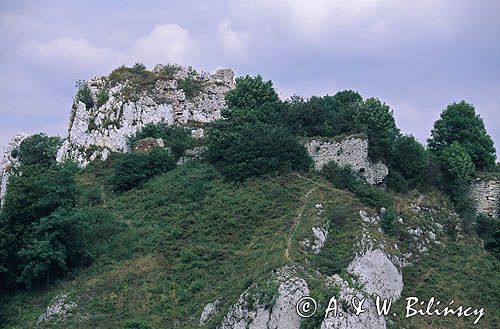 ruiny zamku Rabsztyn, Jura Krakowsko-Częstochowska, Szlak Orlich Gniazd