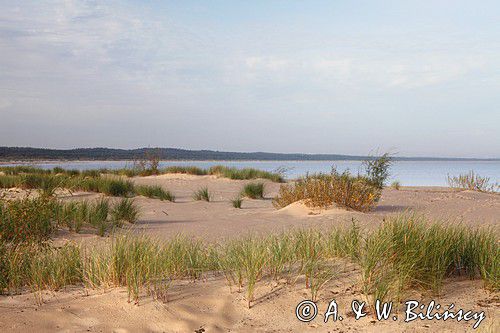 plaża, rezerwat Mewia Łacha, Zatoka Gdańska, Bałtyk