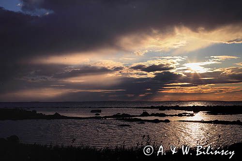 wybrzeże wyspy Rodkallen, Archipelag Lulea, Szwecja, Zatoka Botnicka