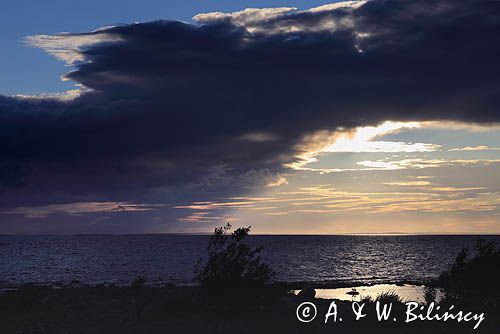 wybrzeże wyspy Rodkallen, Archipelag Lulea, Szwecja, Zatoka Botnicka