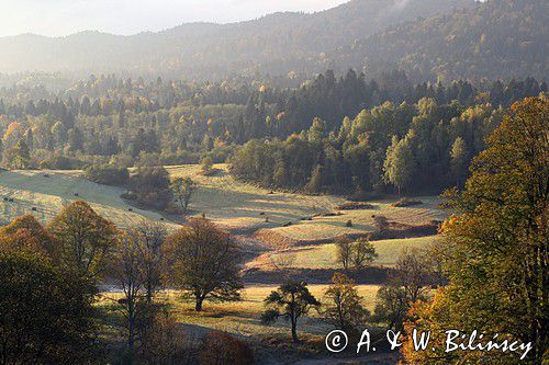 Rosochate, Bieszczady