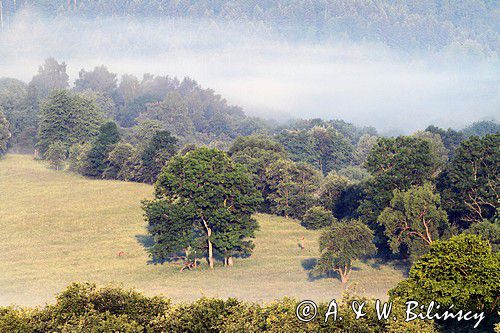 jesienny pejzaż, Rosochate, Bieszczady