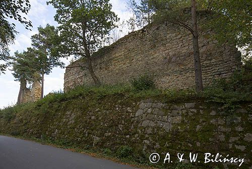 Ruiny Zamku Rożnów