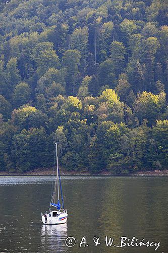 przy zaporze Rożnów, Zalew Rożnowski