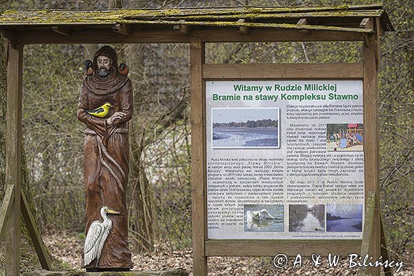 Ruda Milicka, Rezerwat przyrody Stawy Milickie, tablica Kompleks Stawno