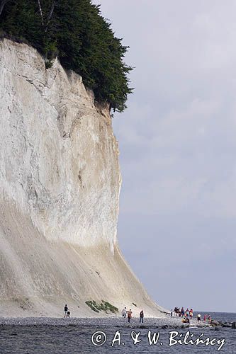 kredowe klify na wyspie Rugia, Park Narodowy Jasmund, Niemcy