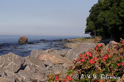 plaża w Lohme na wyspie Rugia, Niemcy, Park Narodowy Jasmund