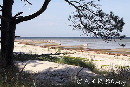 wyspa Ruhnu, Estonia Ruhnu Island, Estonia