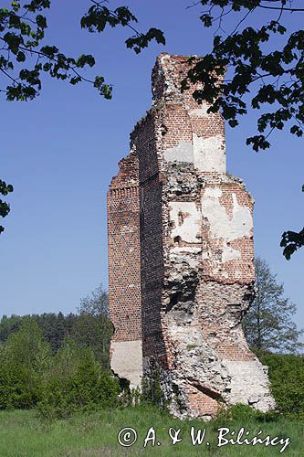 Rytwiany, ruiny zamku Jastrzębców