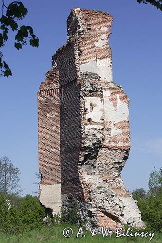 Rytwiany, ruiny zamku Jastrzębców