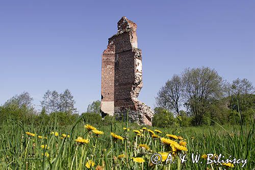 Rytwiany, ruiny zamku Jastrzębców