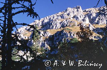 Rzędy pod Ciemniakiem Tatry