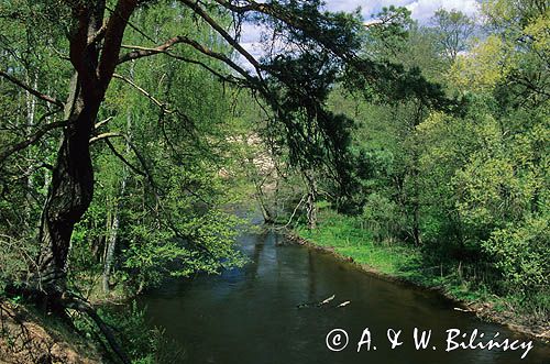 rzeka Drawa Drawieński Park Narodowy