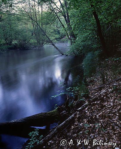 rzeka Drawa Drawieński Park Narodowy