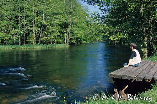 rzeka Drawa Drawieński Park Narodowy