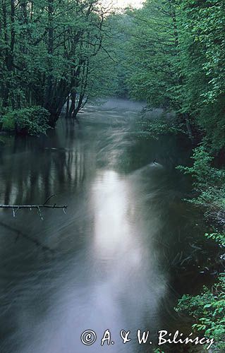 rzeka Drawa Drawieński Park Narodowy