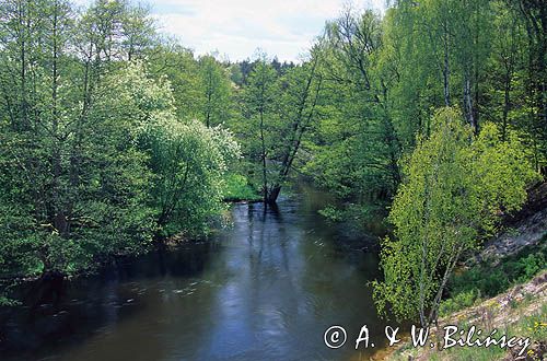 rzeka Drawa Drawieński Park Narodowy