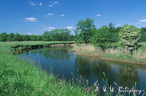 rzeka Słupia, Kaszuby, Park Krajobrazowy Dolina Słupi