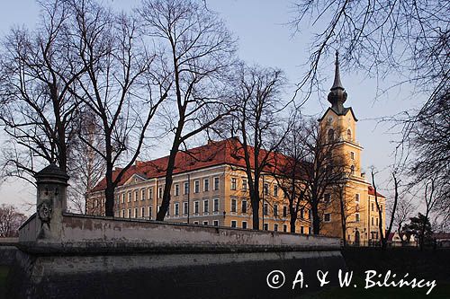 Rzeszów, zamek