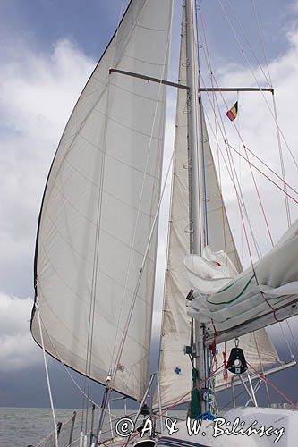 s/y Safran, Trismus 37, z wiatrem pod dwoma fokami