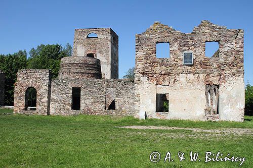 Samsonów, ruiny huty