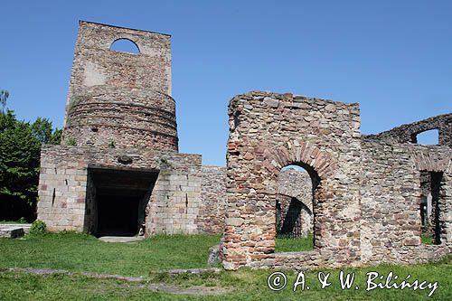 Samsonów, ruiny huty