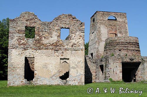 Samsonów, ruiny huty