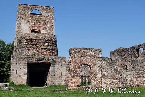 Samsonów, ruiny huty