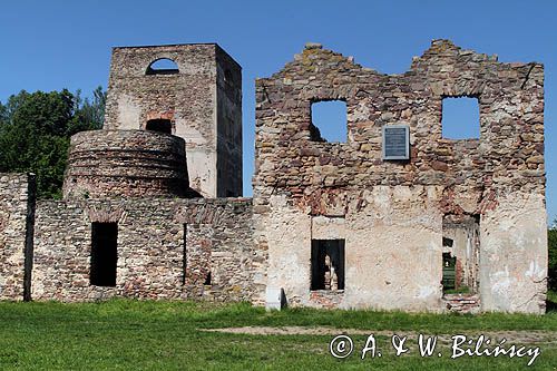 Samsonów, ruiny huty