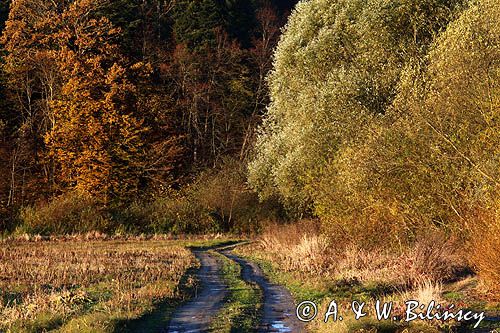 droga nad rzeką San koło Temeszowa, Pogórze Dynowskie