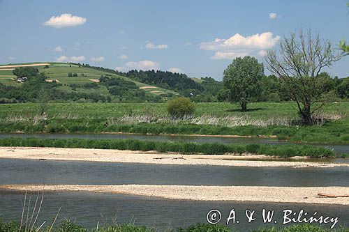 nad Sanem koło Temeszowa, Pogórze Dynowskie