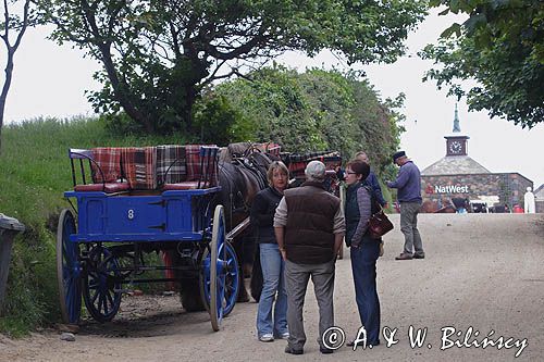 dorożka na wyspie Sark, Channel Islands, Anglia, Wyspy Normandzkie, Kanał La Manche