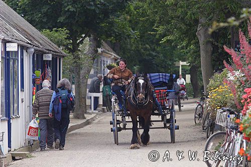 dorozka w The village na wyspie Sark, Channel Islands, Anglia, Wyspy Normandzkie, Kanał La Manche