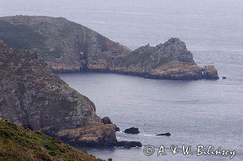 wybrzeże wyspy Sark, Channel Islands, Anglia, Wyspy Normandzkie, Kanał La Manche