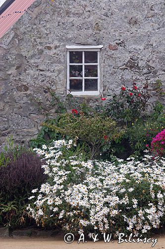 The village na wyspie Sark, Channel Islands, Anglia, Wyspy Normandzkie, Kanał La Manche