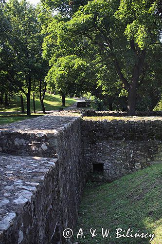 Sarospatak, park przy zamku Rakoczego, Węgry