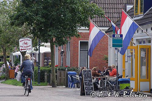 na wyspie Schiermonnikoog, Wyspy Fryzyjskie, Waddenzee, Holandia