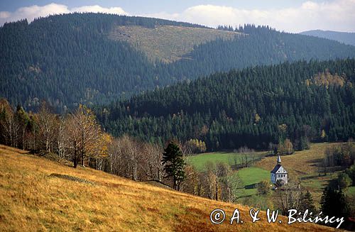 Sienna, widok z przełęczy Puchaczówka, Śnieżnicki Park Krajobrazowy