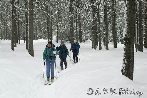 skitouring