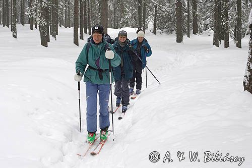 skitouring